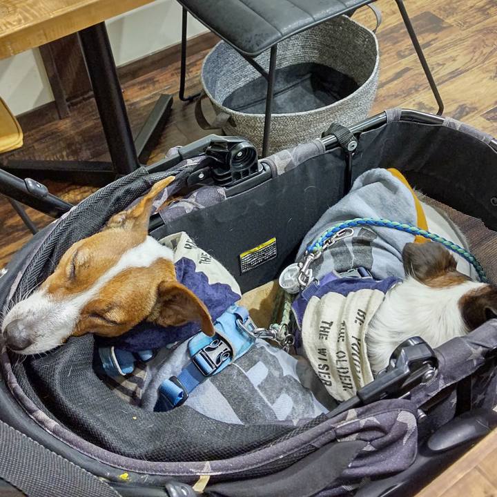 B10a333a 1422 4535 bbe1 b804c3af8b55 1634363368791