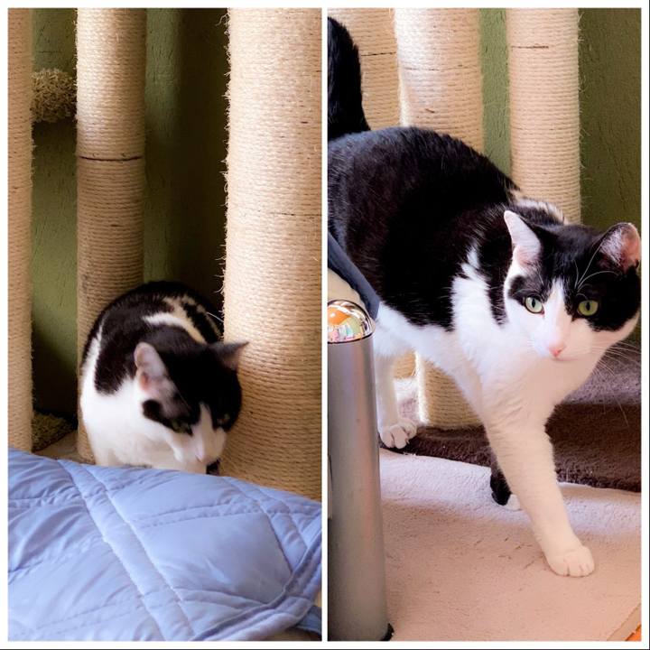 B10a39e0 ee57 4103 af83 51828053e1d6 1562466799171