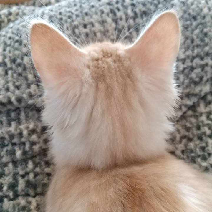 B10abf66 6931 49d2 ac38 ca1f013ace6c 1607827817388