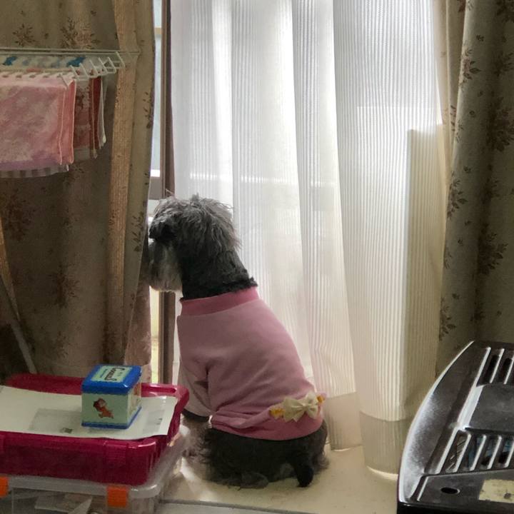 B10adb81 5725 4c4e 9f74 864f55a47ab6 1618752337656