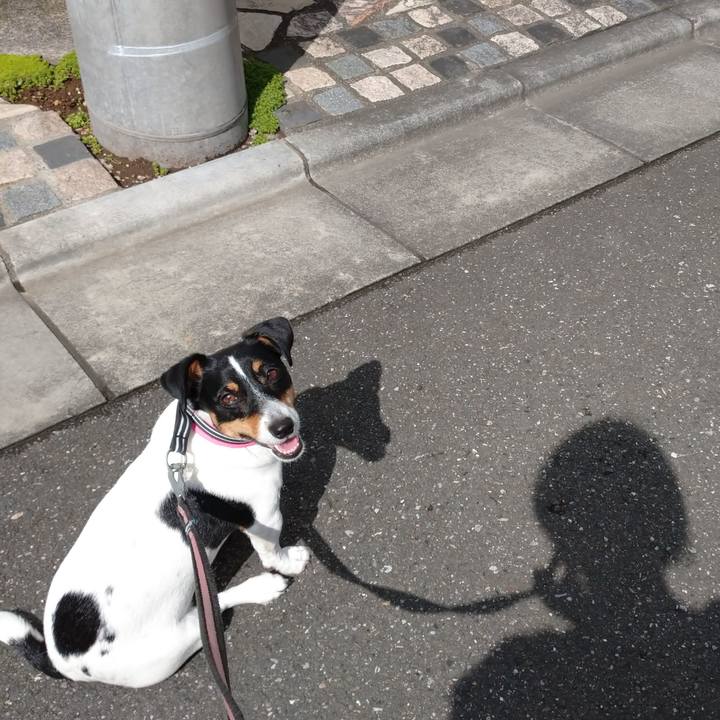 B10adee5 b651 467e 863f b0e495c5aa0d 1625876326719