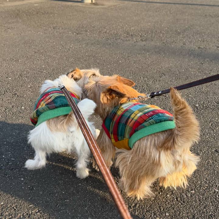 B10af650 db50 4841 a8a3 da46aabd78c5 1768769250327