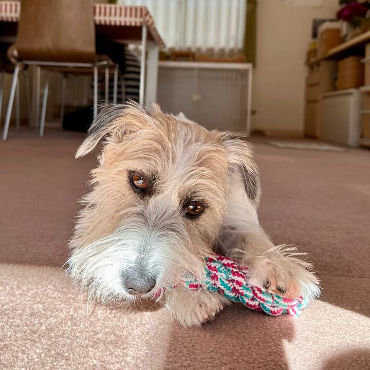 B10b0114 629f 438e 86cb 42b7f864ef5b 1701548336337