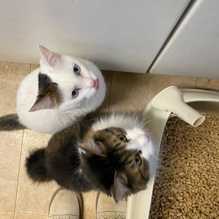 B10bfb60 d762 4fbb 9032 2fb4ca395cd9 1669848629307