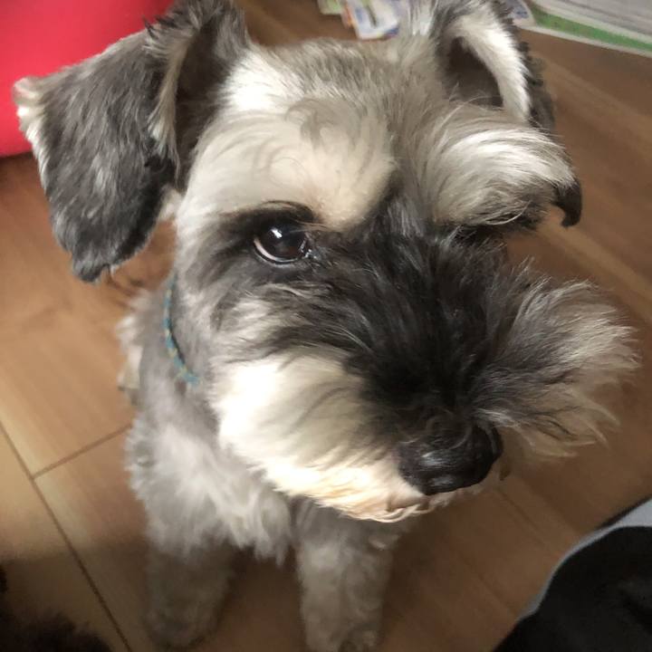 B10c1f0f eb39 401c acb5 d46574494ed7 1569631391916