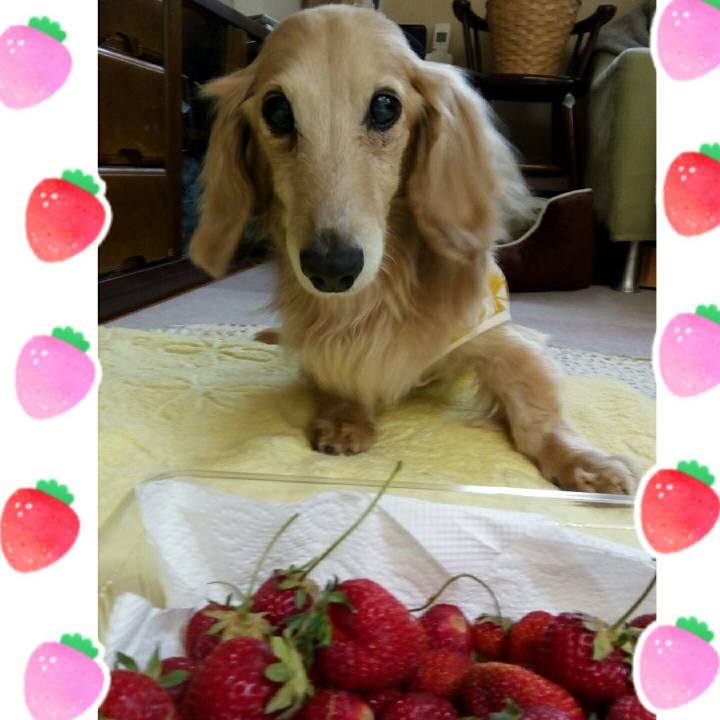 B10c377e 4ce4 4a80 9ccf 145c66ad5fe6 1558279446216