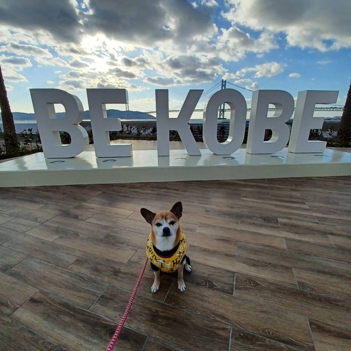 B10c5a8e 5029 409a 8d8c fa9e1363dacd 1768605581128