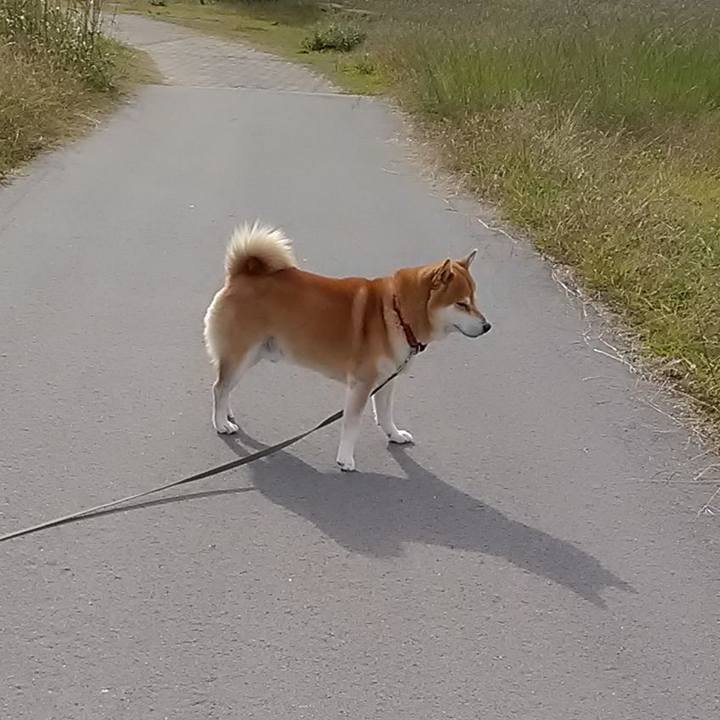 B10ca9c6 d4c9 4ff1 bf57 484e25d7422f 1604569177609