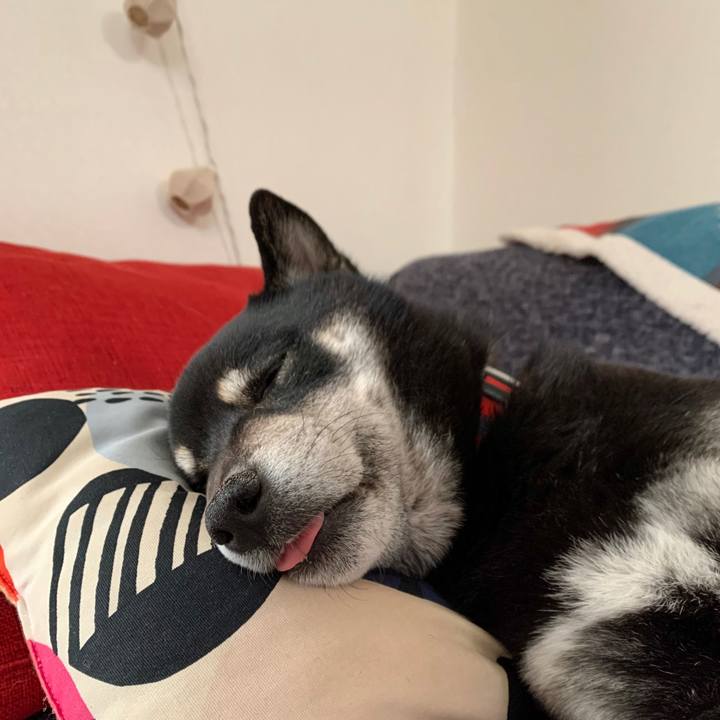 B10cd0ba 9608 4b4f b3ec af6916b9159c 1613804453467