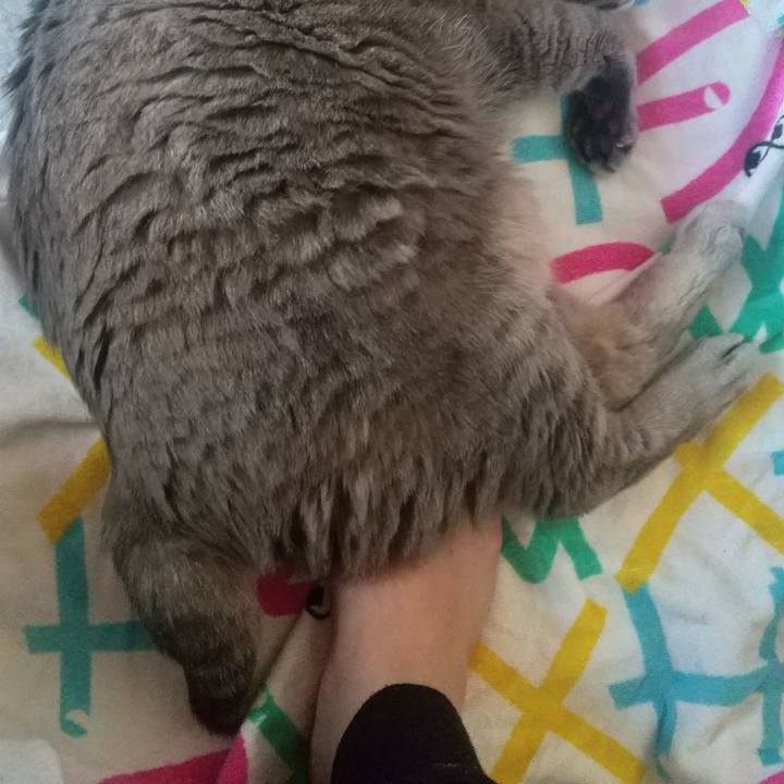 B10cd2c6 5bc9 4c24 b63d 879101a67f1f 1652851906035