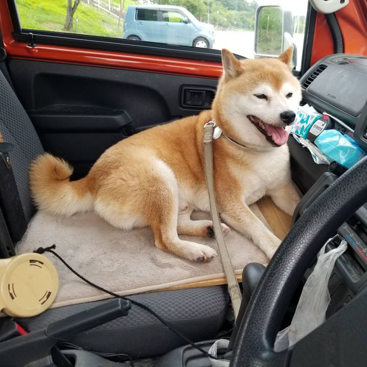 B10ce2a2 6af9 4e50 af60 080eb1313a31 1626162189525