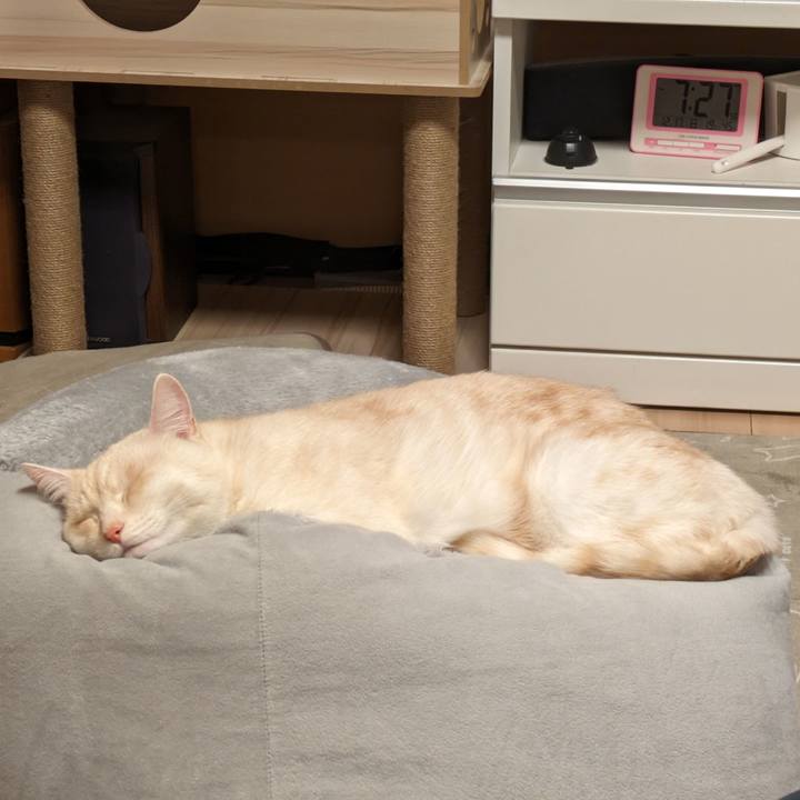 B10cf6d8 cdde 4e29 b636 57122909d5cb 1702808931413