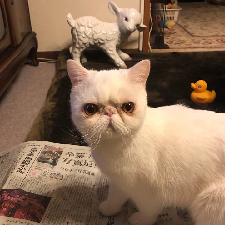 B10cfce2 c446 4dcc b897 f4ddd621a72b 1615207603573