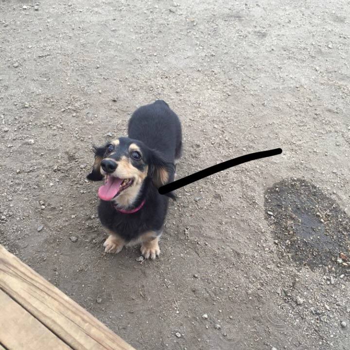 B10d18a4 ec54 492b befe a1d1dcd8fbee 1591244096899