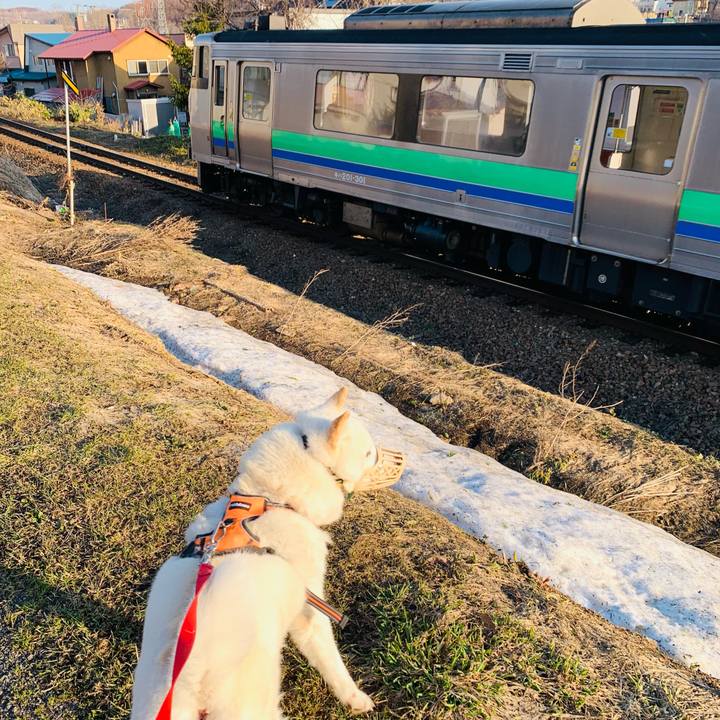 B10d847c 7957 4bcd a89c dc1b8153d666 1618092676367