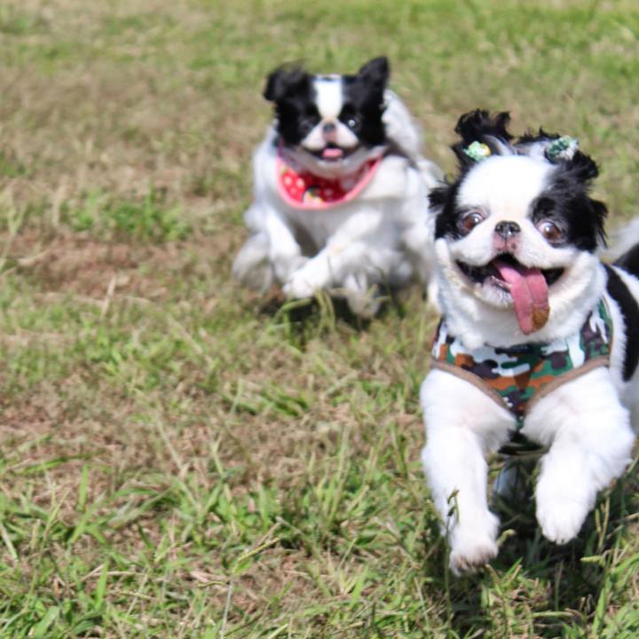 B10d961b eb93 45f7 b622 328af3689b74 1528115969610