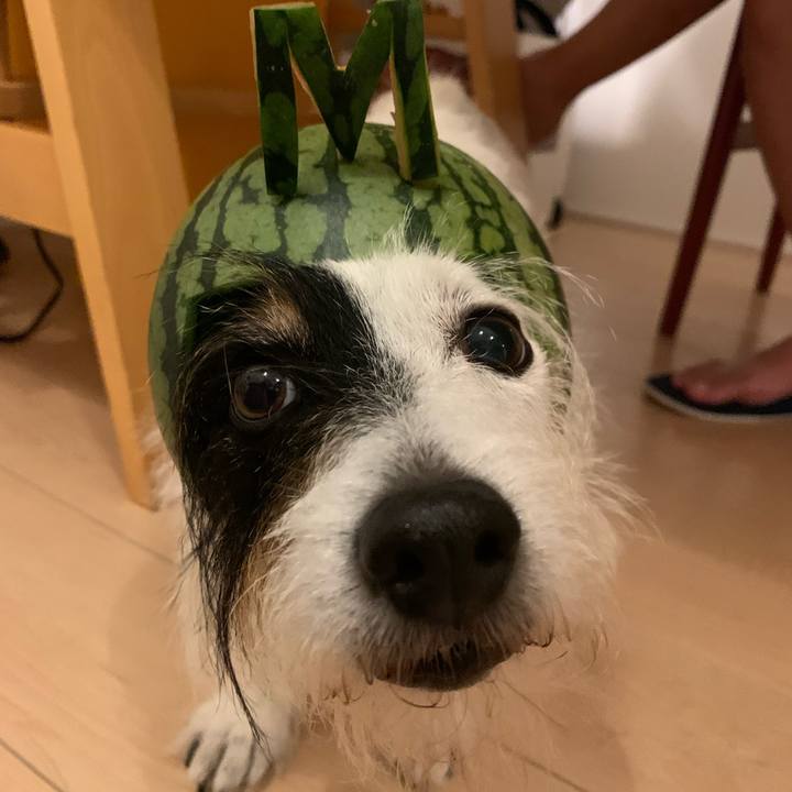 B10dab8b 5f1c 4d73 b56e 6dbdc059e4d8 1689768189767