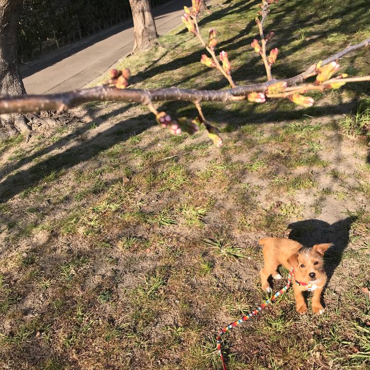 B10de101 71c3 4fed 893e 6958de992d3c 1522482137573