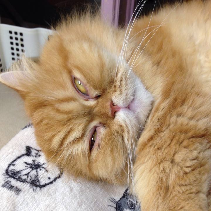 B10deb3f 83d8 4487 8bc4 cbacaa6875da 1510106646873