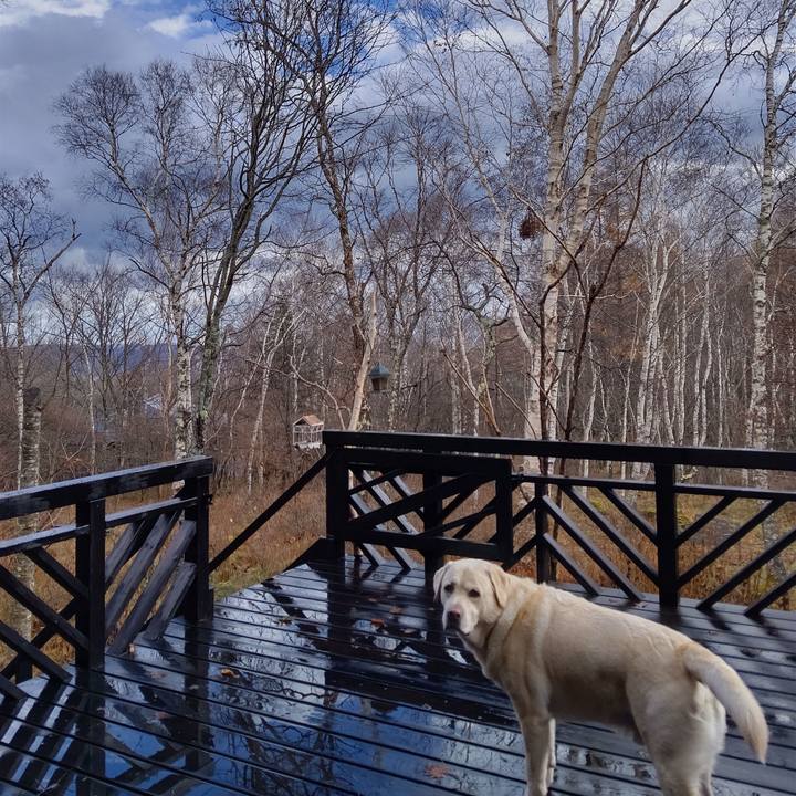 B10e1311 4293 4274 96b0 f9ab9f9e2fd1 1699320941920