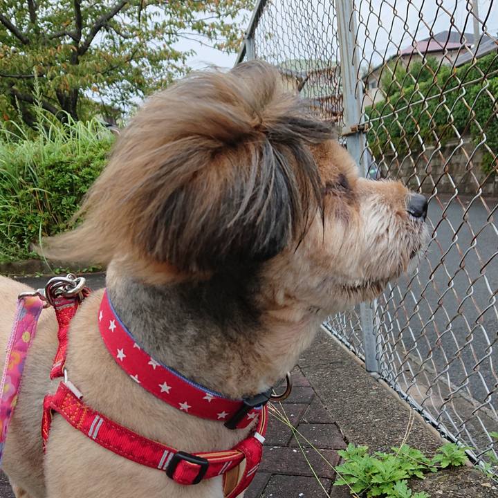 B10e183a 004a 4e12 bc01 172e91192a2f 1569156006686