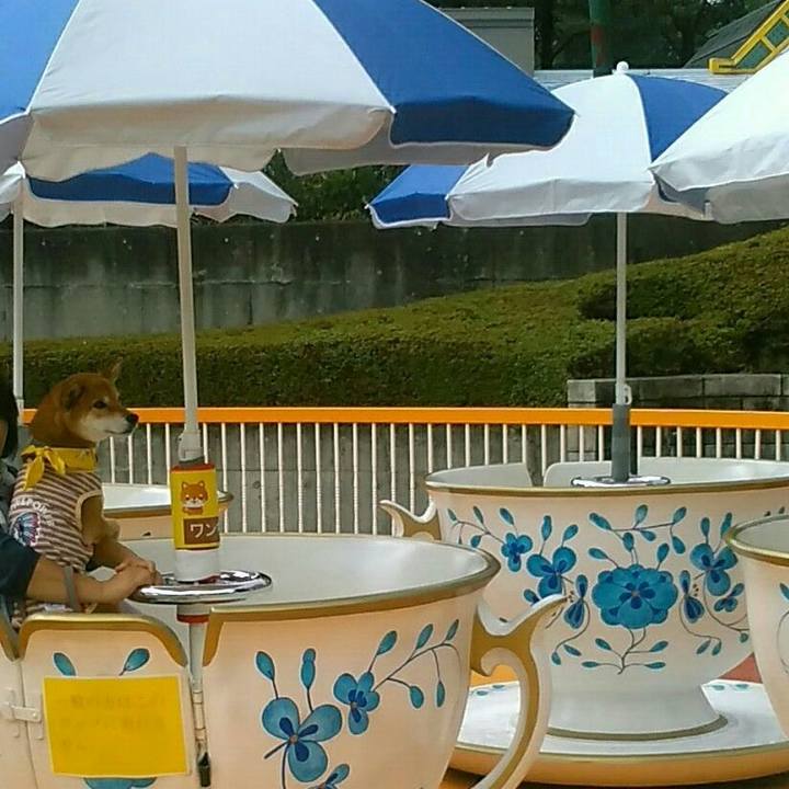 B10e19ec 1c9e 4d2a a7fd b05f2265b082 1570356338726