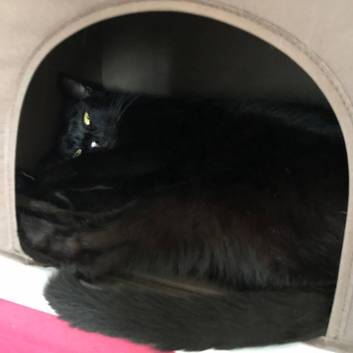 B10e3440 0956 4164 9229 2ec21e246fdb 1660719263910