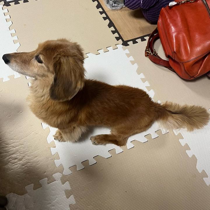 B10e40bd 2c70 4d32 bb36 3919de2414e1 1644494115938