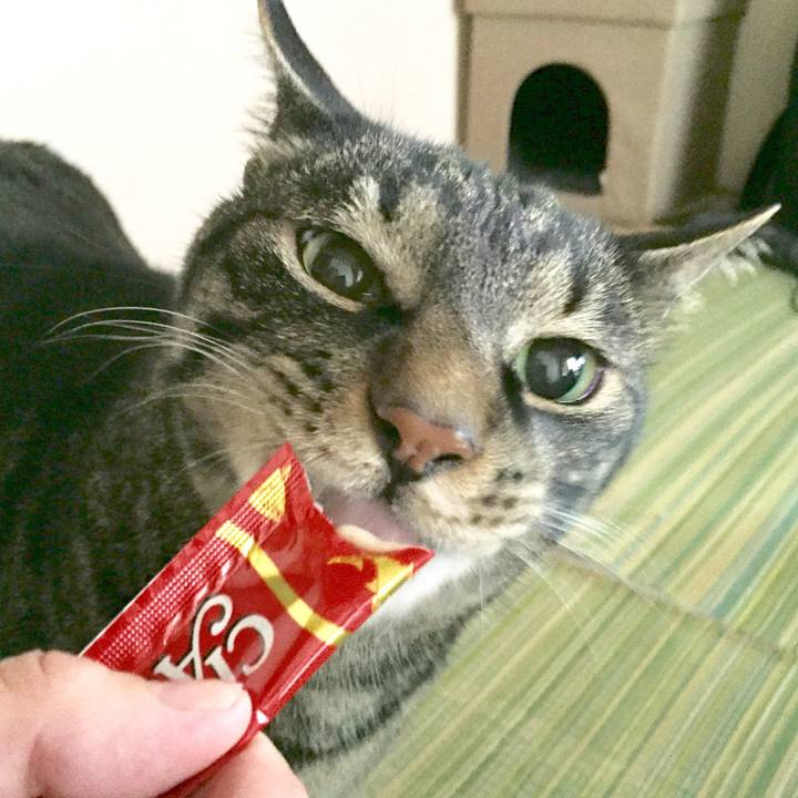 B10e51b1 3548 4625 b081 ca06e6548dd7 1597112890076