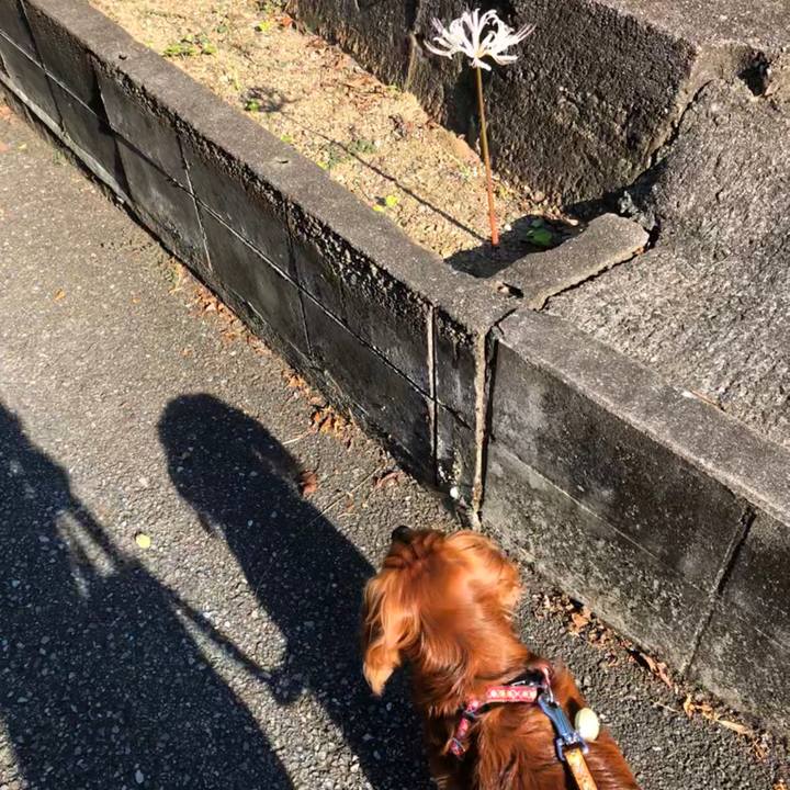 B10e7f7d 68f9 4610 8b1c 4f11d46450c7 1600646429743