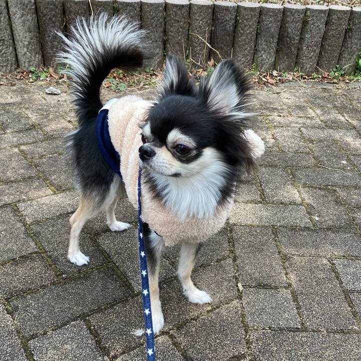 B10ea058 278e 44c0 93e5 87cfa6728b36 1642914093857