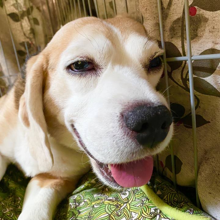 B10f46fd 622e 4f3b ae82 408434b2dad5 1596946788305