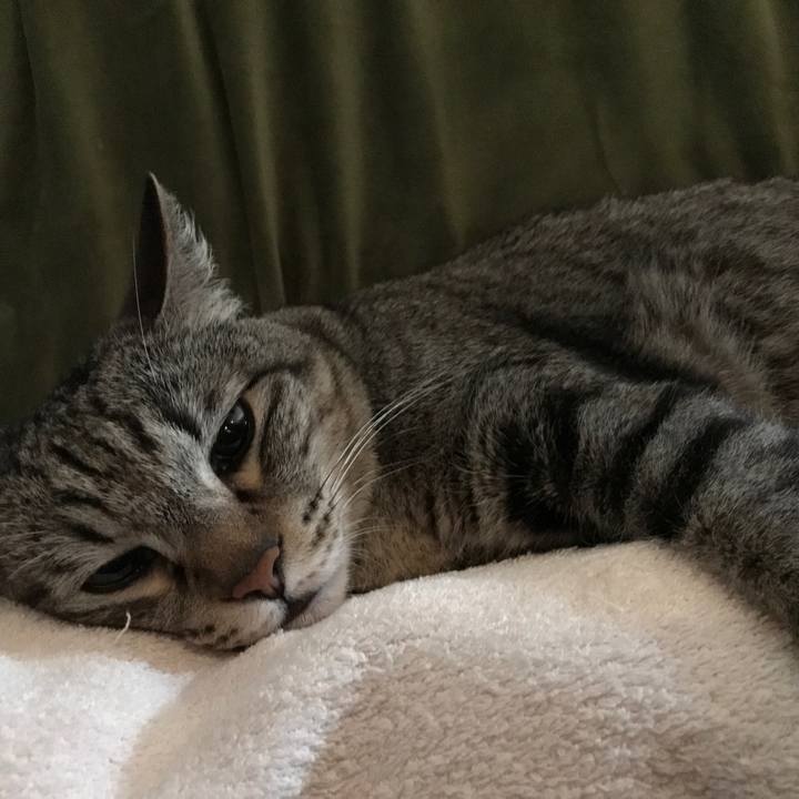 B10f6648 a551 44c8 96be b35d5d971ef0 1565751364150