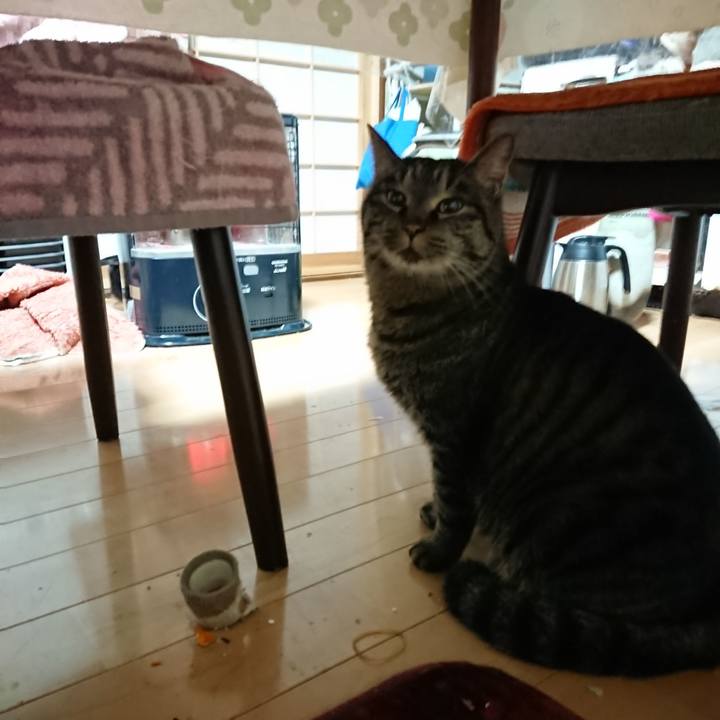 B10f8ae2 aecc 4e09 8c5a 10c3cde2f0ad 1638996221239