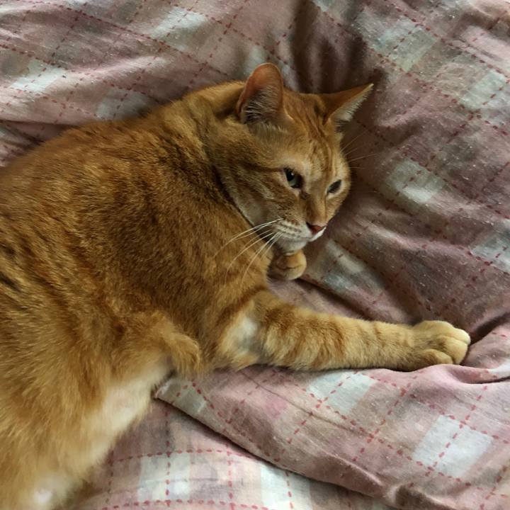 B10fa36c 4b6b 40b3 b1af e9368e399b18 1656928446653