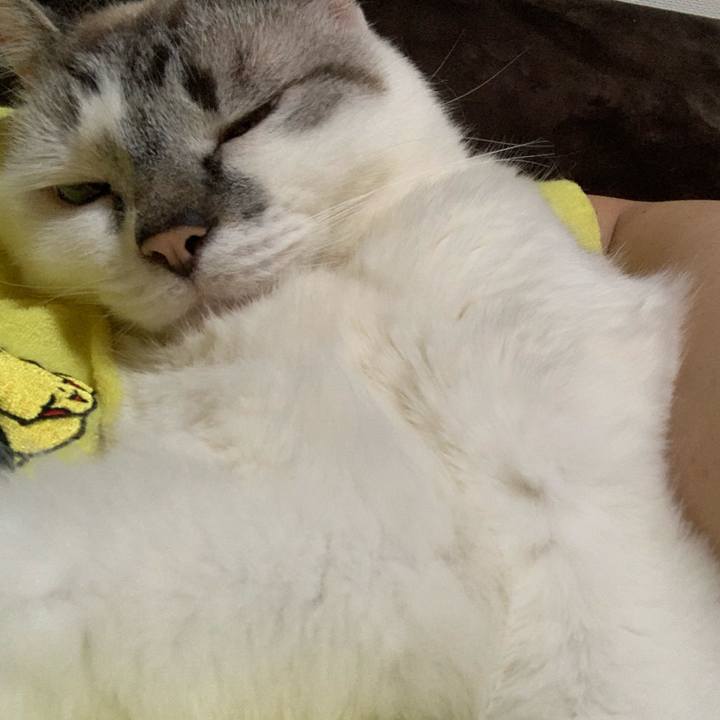 B10fcd05 98d0 443c b4f8 2b9f4bb61688 1592916323599