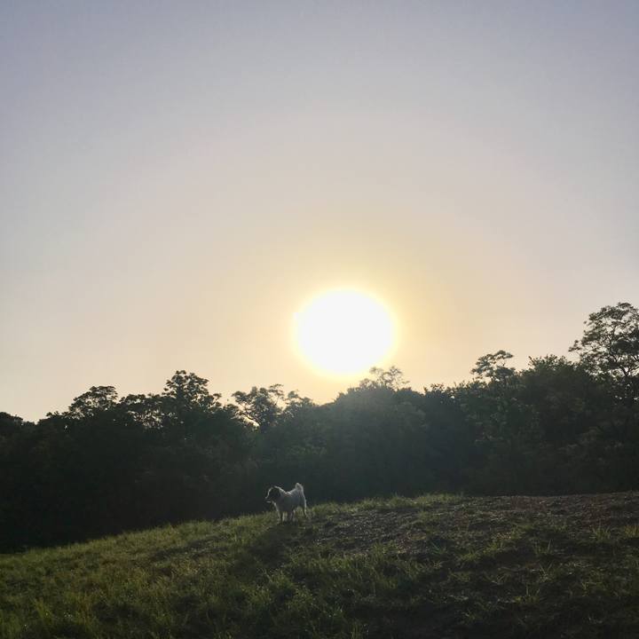 B10fece4 23f2 4320 a1e1 ccfea673ab30 1526333144388