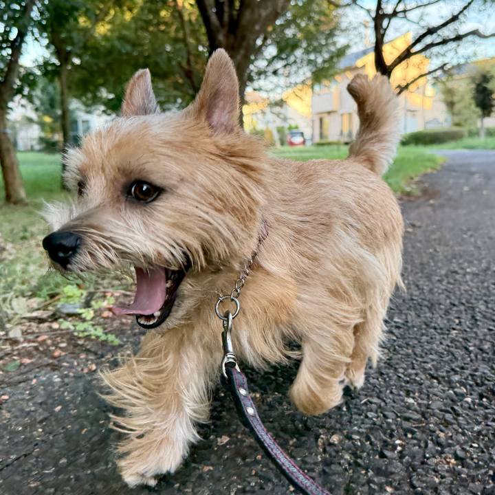 B10ff9e4 f6ec 4966 85cc 8a67e9c602ed 1760449851055