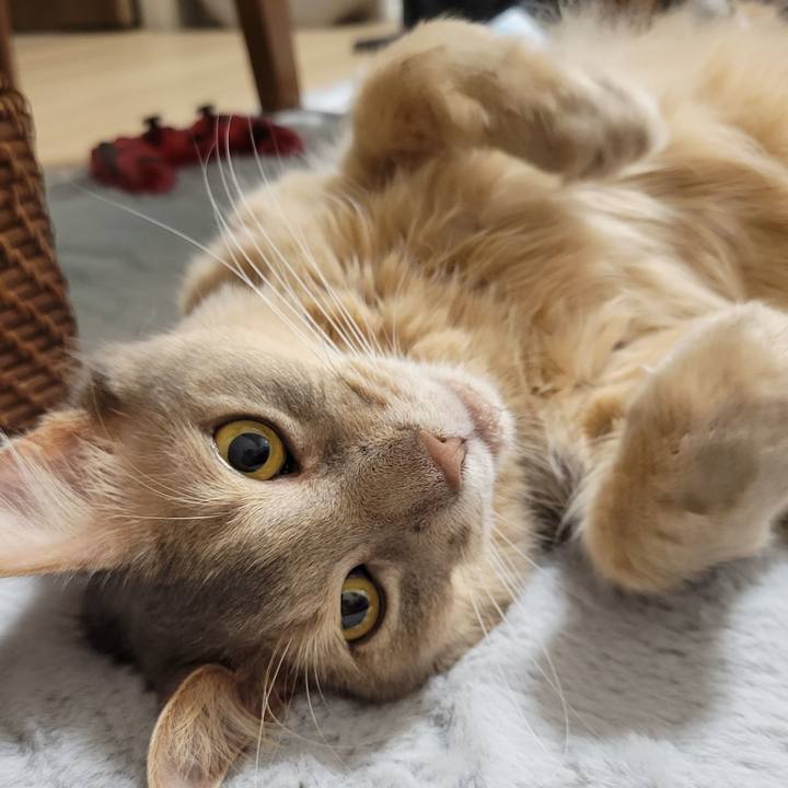 B10ffe23 713b 4c10 880e dedfc00c5616 1652501469749