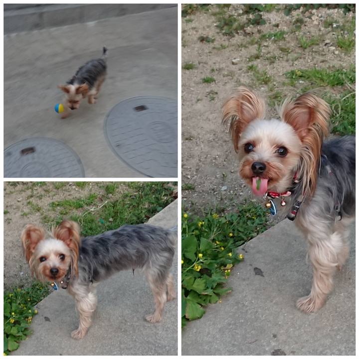 B10fffcd 6f9c 4f00 8d06 0c2af69616a0 1523624003955