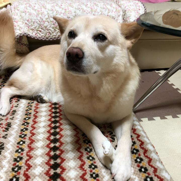 B1101825 ab44 4eaf a3de 15d86b2fbbc1 1556635917063