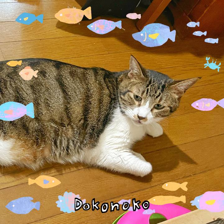 B1103254 cd88 41df 9386 5c3650dfcdc3 1755318209991