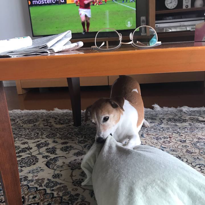 B11052e9 5e08 4e8b 9eb7 85ed0b2b6484 1571715893960