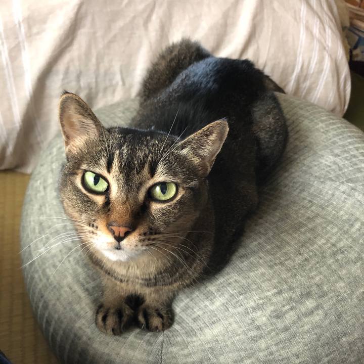 B11073bd 7dd6 4ce6 b7fd fa960a4eb6f0 1603329950934