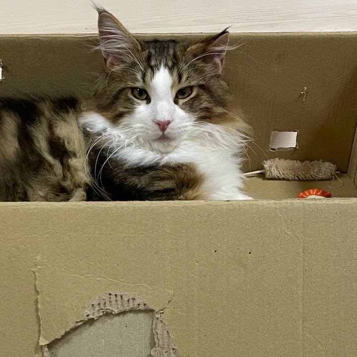 B1109890 3ee0 4748 b350 9da8fec197e0 1638442116279