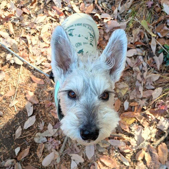 B110a2b7 bdeb 4527 8432 dfa18095b189 1764937506301