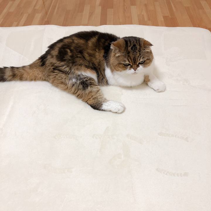 B110a41d b963 4ff2 8ef5 c8fa48387925 1596802040534