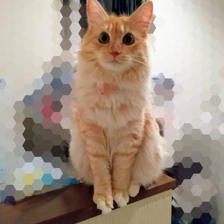 B110f334 e398 4ea0 9f9f 30b90c539676 1629548536611