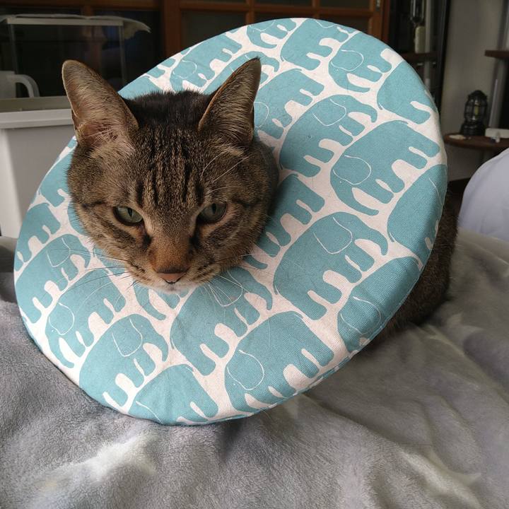 B110fc27 6632 401e 981a 48ce53c19774 1741412858937