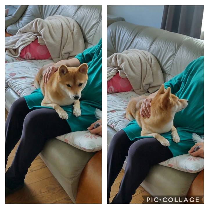 B11148a1 0f74 4554 93de 4668d13cd862 1666760921471